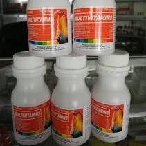 He13 MULTIVITAMIN LACTATE VITAMIN 100 TABLET MEMENUHI VITAMIN MINREAL AYAM BURUNG KUCING ANJING ARVE