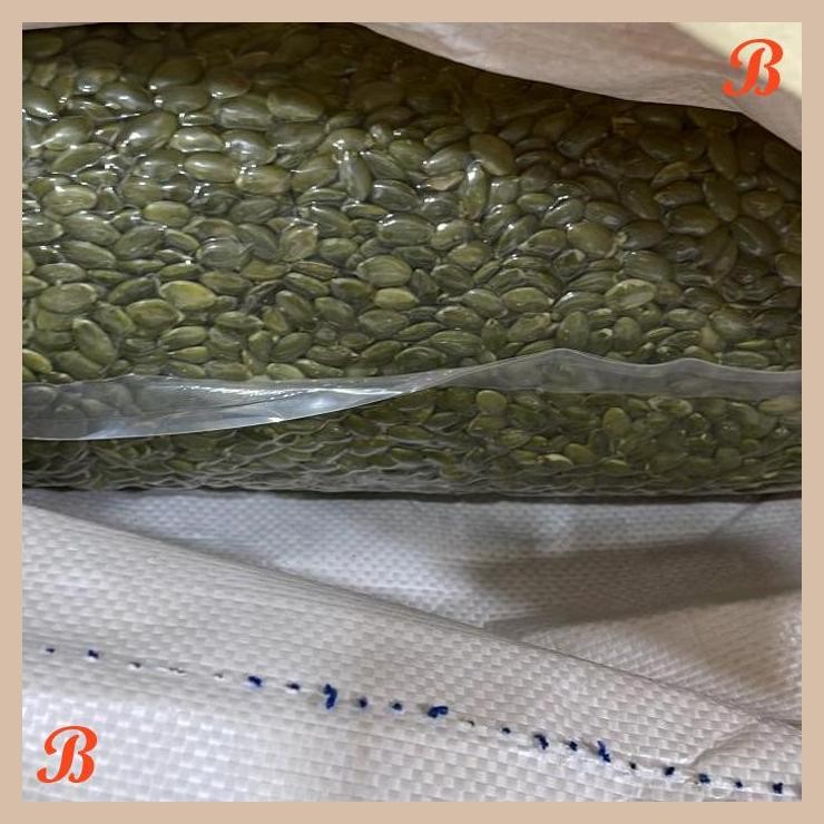

| RMP | RAW PUMKIN SEED 500GR / BIJI LABU MENTAH 500GR