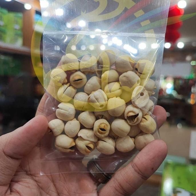 

*****] Lian Zi Biji Teratai lien ci