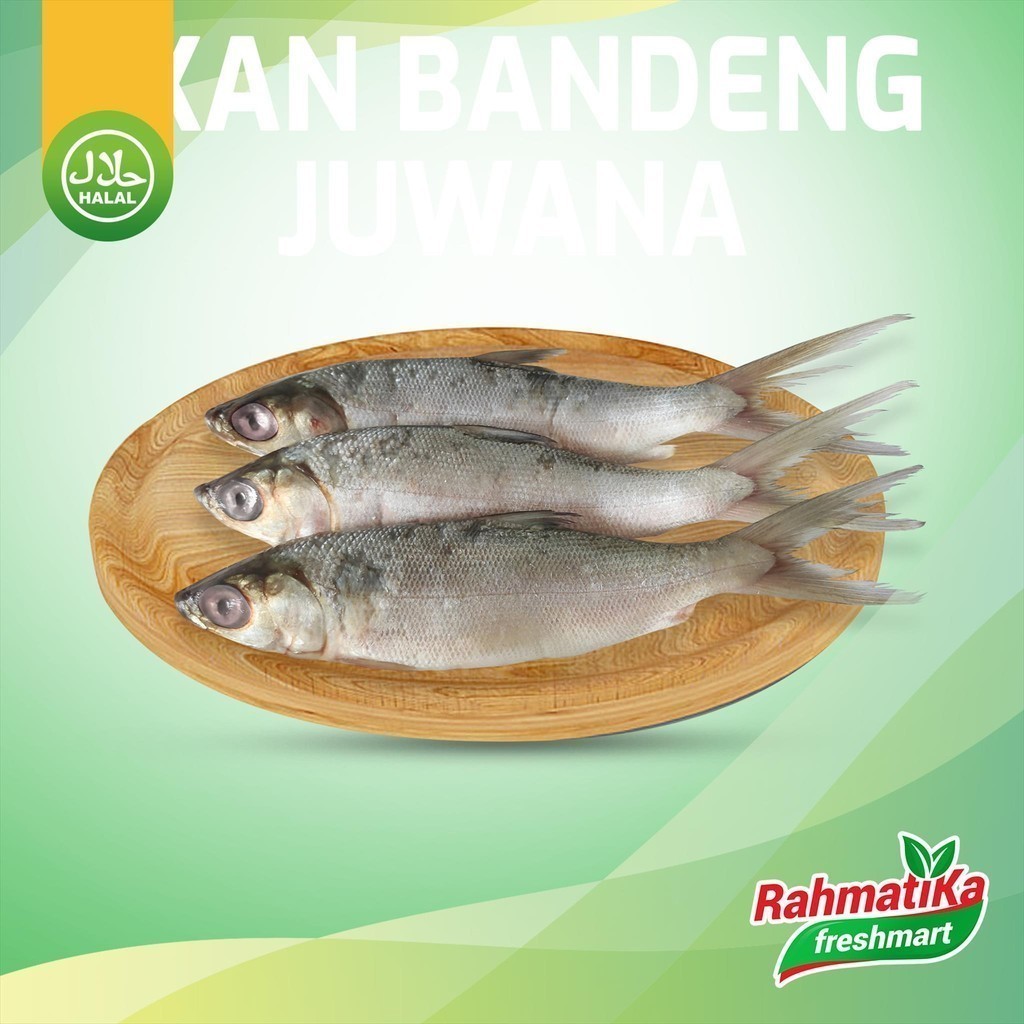 

Ikan Bandeng Segar / Ikan Bandeng Fresh 1 Kg