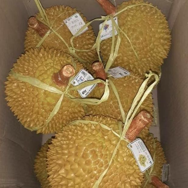 

buah durian buah durian hias replika buah durian dummy durian palsu murah