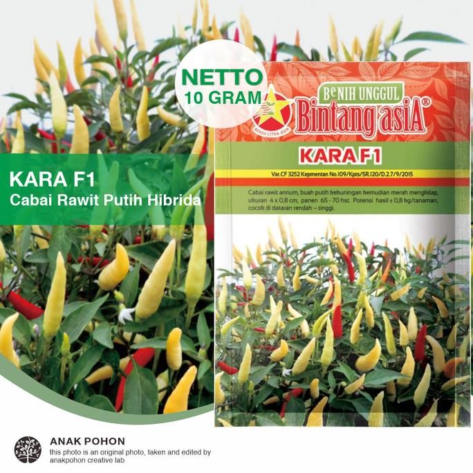 (1 PACK) Benih Cabai Rawit KARA F1 Cabe Rawit Pedas Annum Putih F1 murah