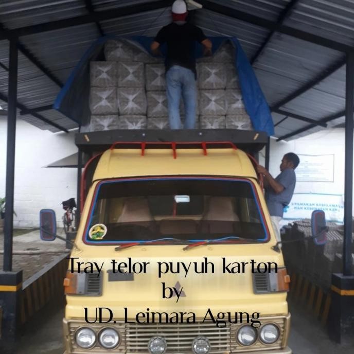 (Good) tray puyuh karton/tempat telur puyuh karton