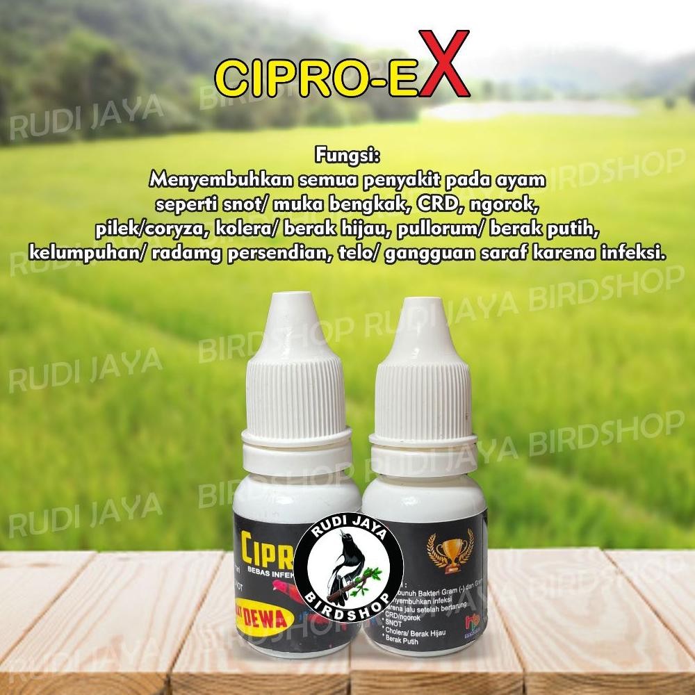 gfd-12 CIPRO-EX CIPRO EX CIPROEX OBAT AYAM ADUAN OBAT MUJARAB AMPUH MENGOBATI SEGALA PENYAKIT AYAM A