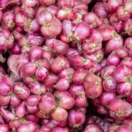 

bawang merah brebes super 1kg murah