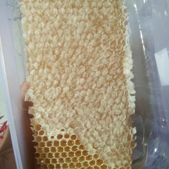 

Murah Madu Sarang Asli 500 Gram Murni Alami Honey