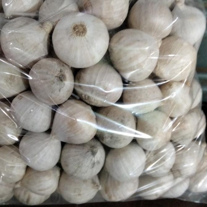 

Bawang Putih Tunggal/Bawang Lanang Kering Fresh 1kg [terbaik]