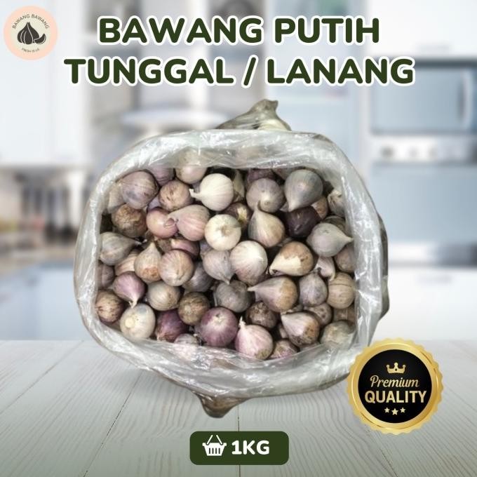 

Bawang Putih Tunggal Lanang Kecil 1Kg [terbaik]