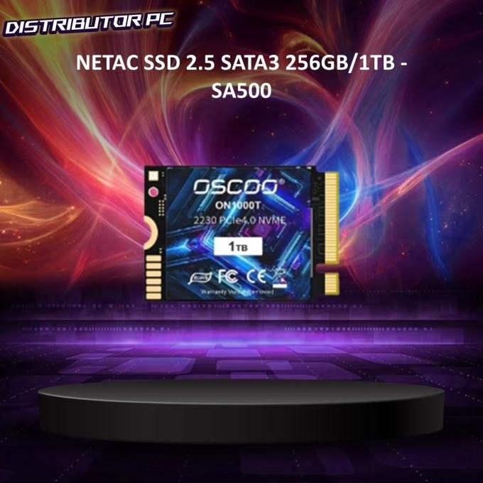 NETAC SSD 2.5 SATA3 256GB/1TB - SA500 2004T