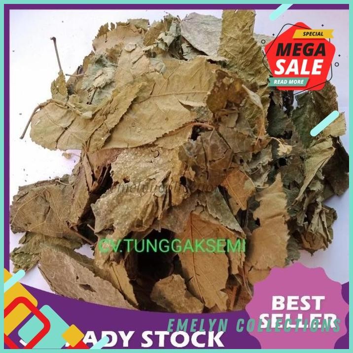 

250G DAUN JATI BELANDA KERING PREMIUM KUALITAS BAGUS !!!!