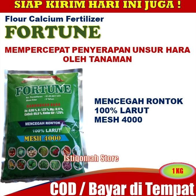 Gj-46 Pupuk Kalsium Fortune 1 Kg Obat Penyakit Layu Pada Tanaman Cabe - Obat Layu Pada Cabai - Obat 