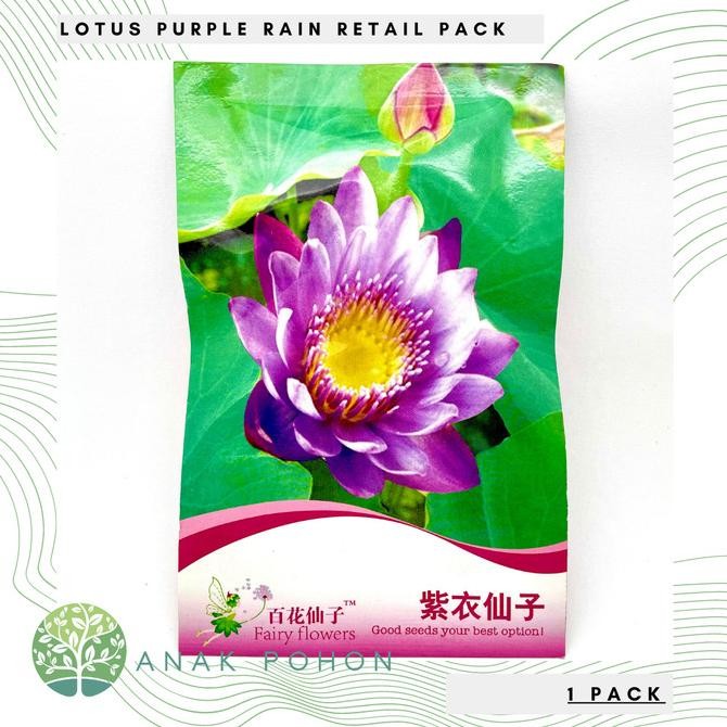 

fresh !!! ( 1 PACK) Lotus Seroja Nelumbo Purple Rain Retail Pack - IMPORT