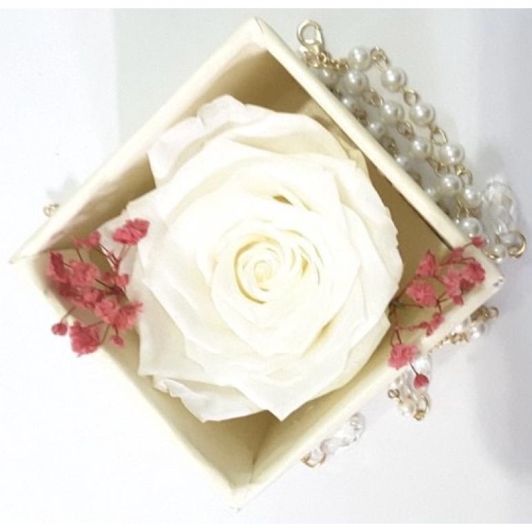 rd-67 hj-77 Box A Single White Rose Beauty Preserved Flower Represent Innocent Original Premium
