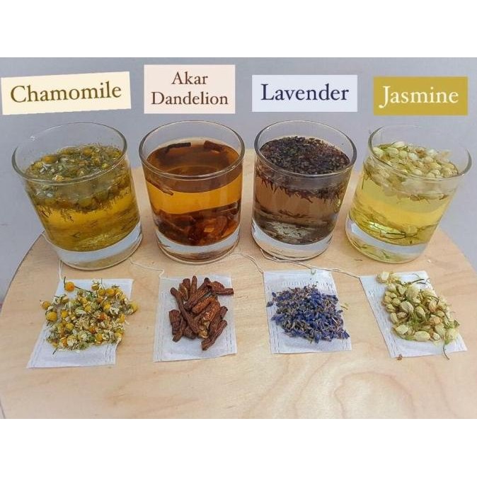 

Promo [Guttein] Dandelion Root Kering | Detox Tea | Liver Detox 500 Gram [Premium] Pahit