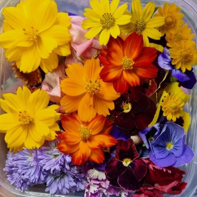 

Produk Baru!! Mix Edible Flower Fresh