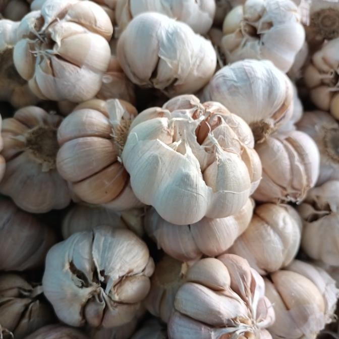 

BAWANG PUTIH SINCO/ BIASA 1kg nUg