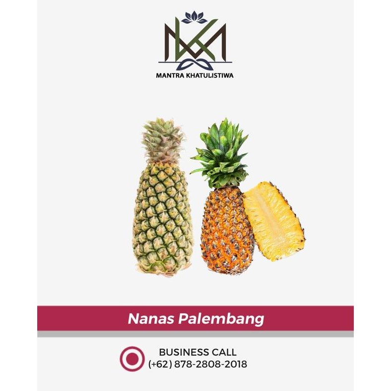 

Nanas Palembang (Sedang, Besar) nUg