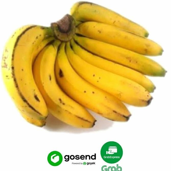 

PISANG RAJA BULU SUPER SEGAR (1,3 - 1,5 KG) nUg