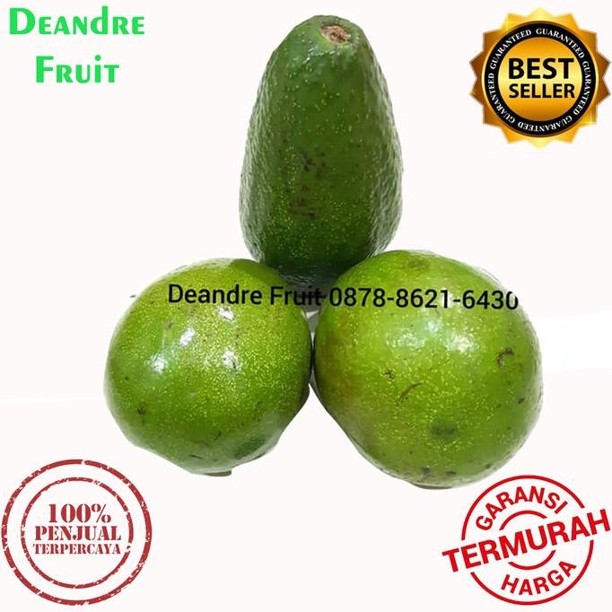 

PROMO MURAH 1kg Buah Alpukat Mentega Premium Grade A Avocado good nUg