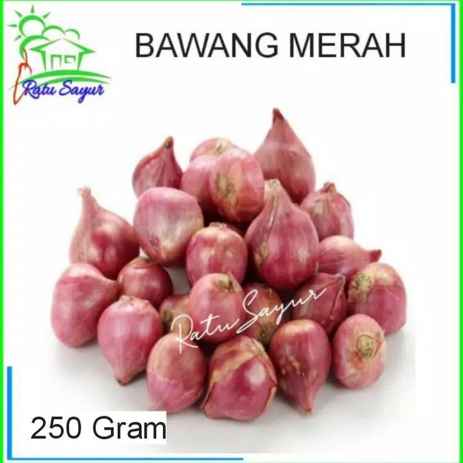 

bawang merah/ratu sayur/cikeas nUg