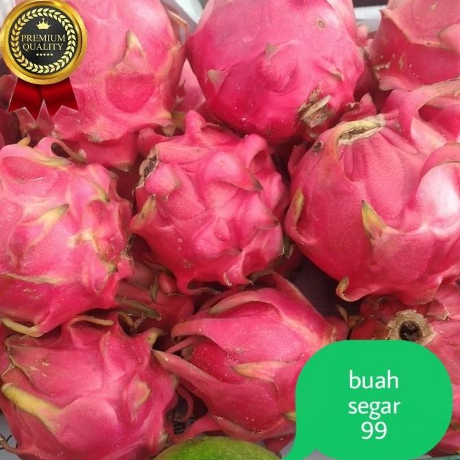 

buah naga merah fresh/ Dragon fruit nUg