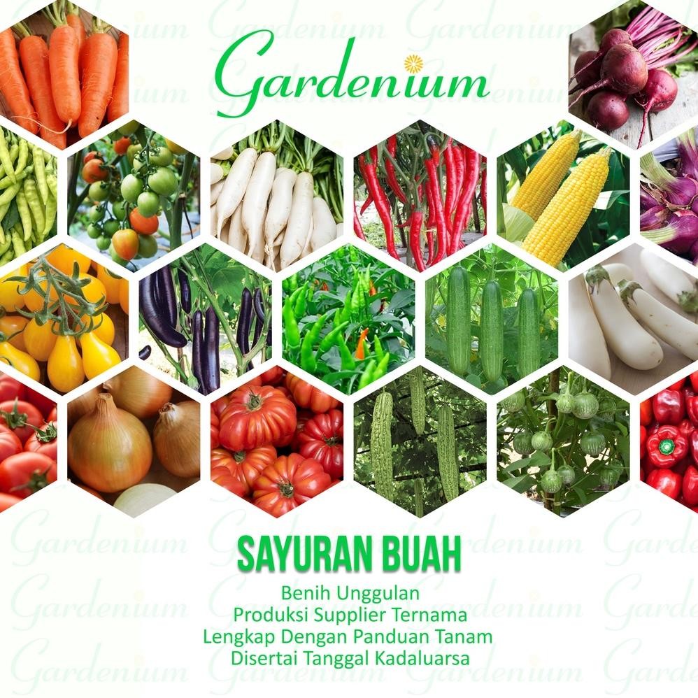 Bisa Cod Macam Macam Benih Sayuran Buah Paktani , Bawang Buah Bit Buncis Cabai Jagung Kacang Panjang