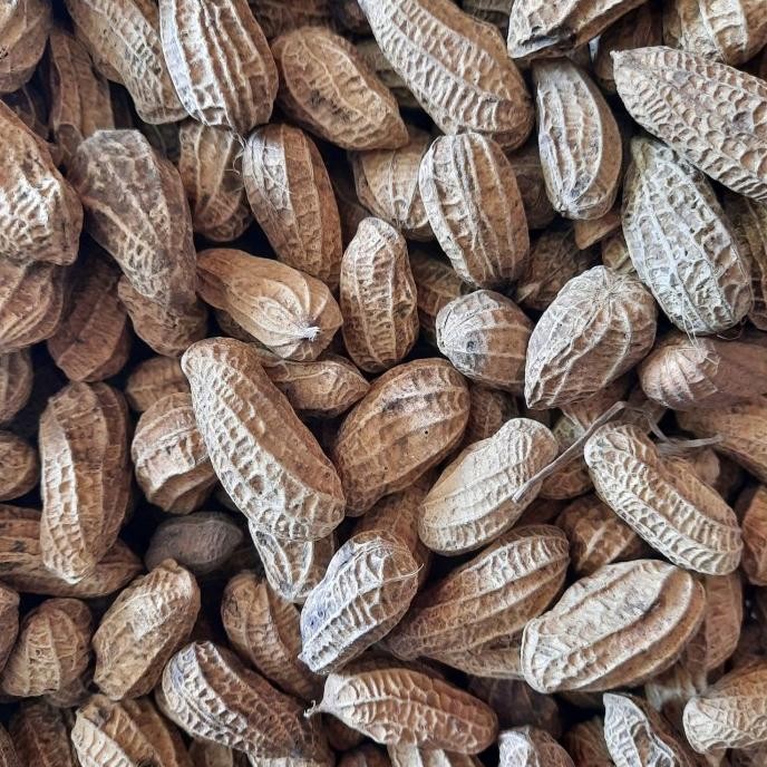 

Kacang Kulit Sangrai 500 gram nUg