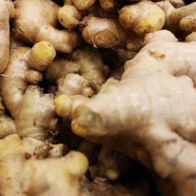 

Jahe Putih Segar Fresh nUg