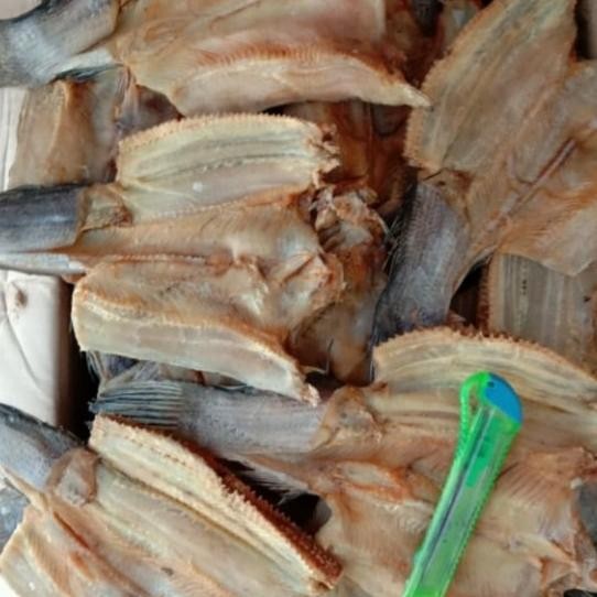 

ikan asin gabus tanggung TMK per 250gr nUg