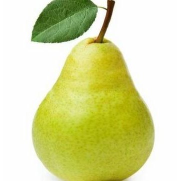 

Pear Hijau / Bibit Tanaman Hidup Buah Pir
