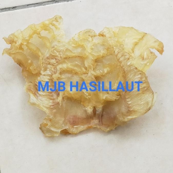 

Murah Gelembung Ikan Manyung,Perut Ikan, Lambung Ikan,Hipio,Hipiao, 250Gram