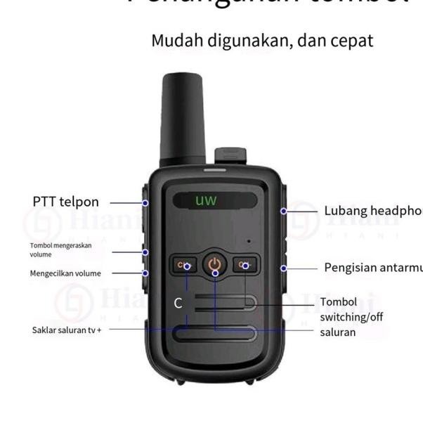 Ht Wln C51 Ni Walie Talie