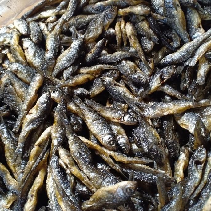 

Promo Ikan Kering Bilih Fres Segar