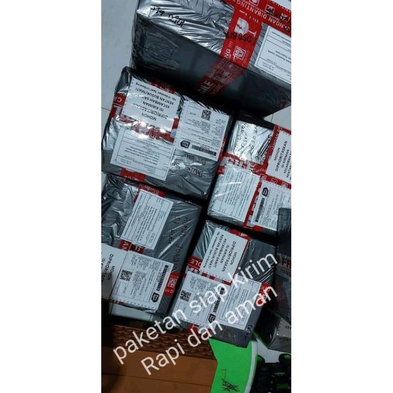 BIBIT POLONG KECAMBAH SAWIT ASLI PPKS MEDAN UNGGUL BALAI BENIH