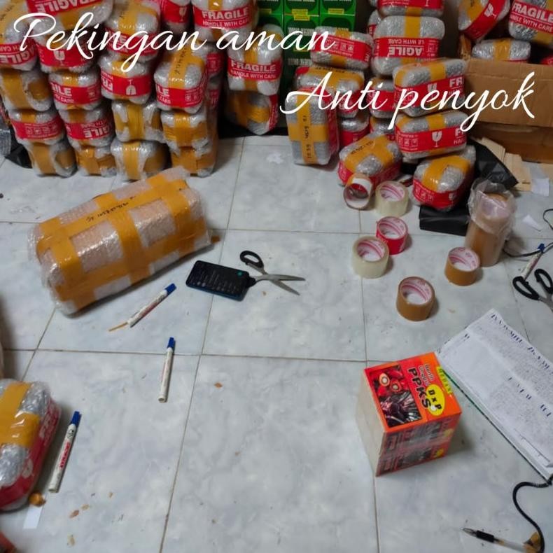 Bibit benih Kecambah Sawit Costa Rika kualitas super unggul Bibit Benih Kelapa Sawit costarika benih