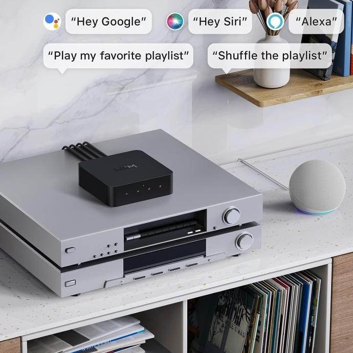 Grosir Wiim Pro Plus Pro+ Airplay 2 Receiver Chromecast Streamer With Akm Dac