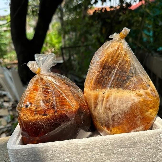 

Madu Sarang Hutan Liar Asli 1Kg Alami Honey Promo
