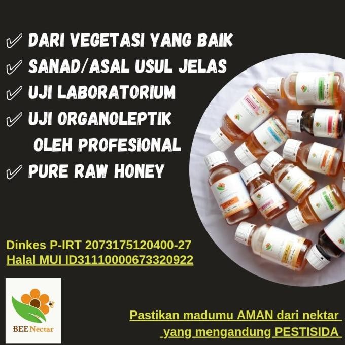 

Raw Honey Madu Murni Asli Nektar Size Medium Terbaru