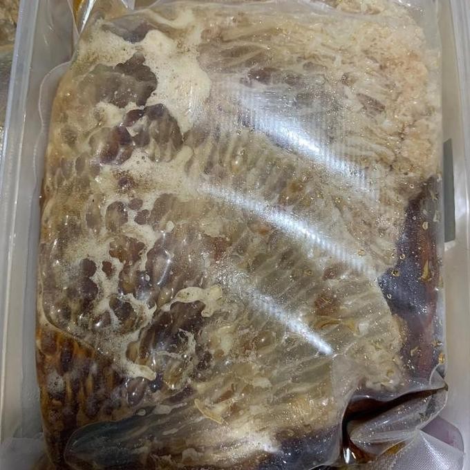 

Madu Sarang Hutan Sialang 500Gram Honey Terlaris