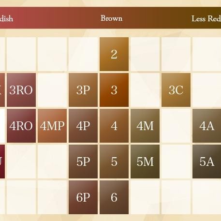 HOYU CIELO Hair Color Cream Pewarna Rambut Japan