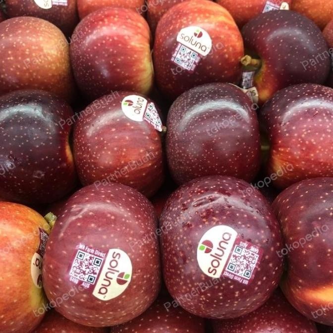 

Sale Apel Soluna Australia Fresh Manis 1 Kg