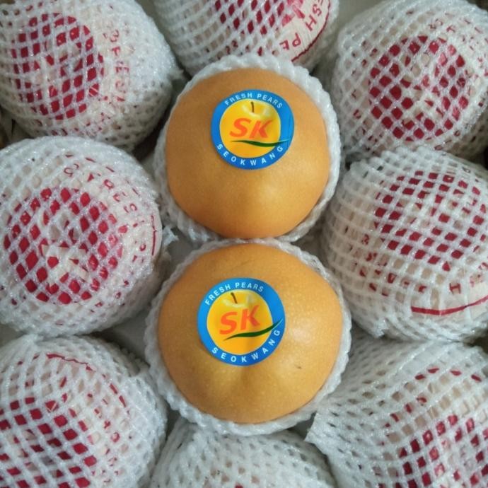 

Grosir Paket Bundling Buah Pear Singo Korea Asli Fresh Manis Per 3 Buah