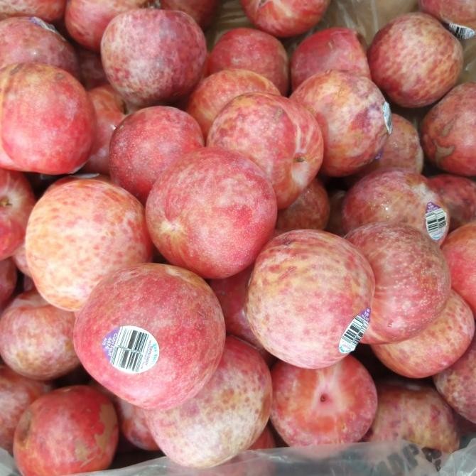 

Grosir Buah Plum Australia Dapple Dandy Fresh Manis Per 1 Kg