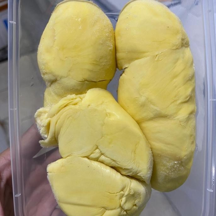 

Grosir Durian Montong / Durian Monthong / Durian Kupas Montong