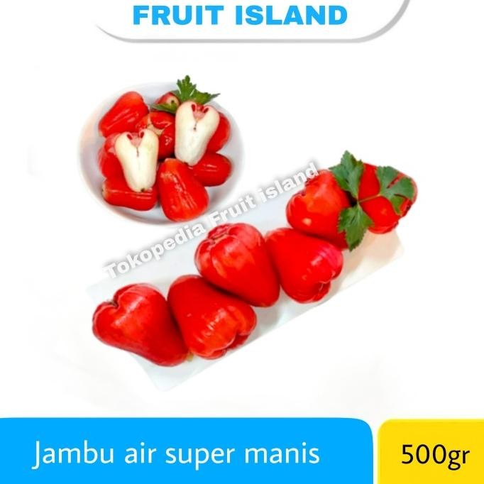 

Promo Jambu Air Merah Manis Mantap