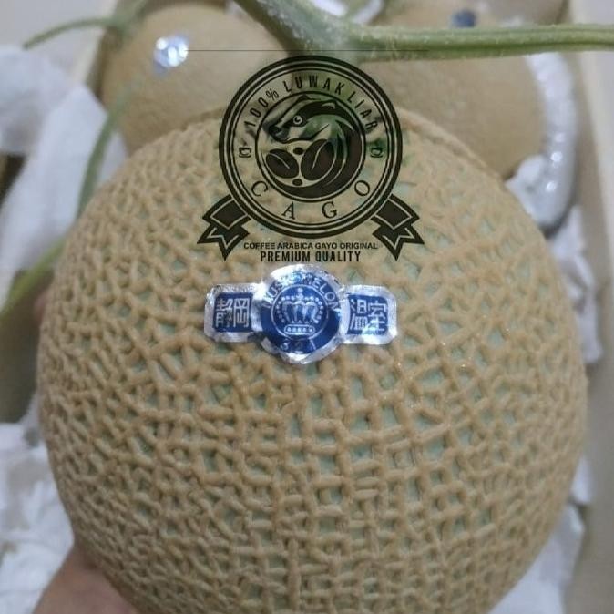

Murah Melon Shizuoka Musk Crown Aaa Japanese Per Pcs Fresh Import