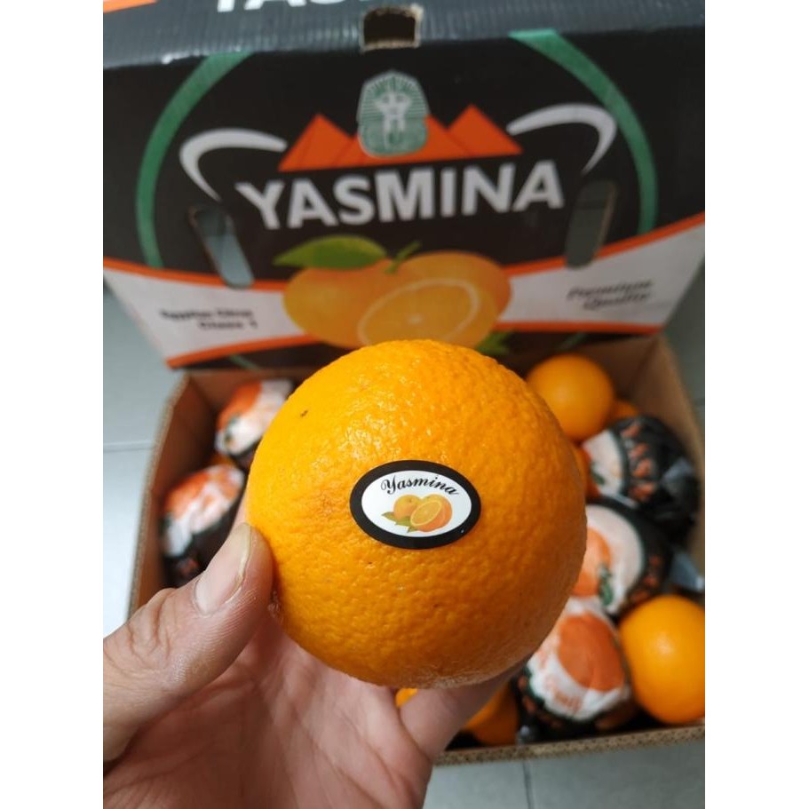 

Promo Jeruk Sunkis Valencia Egypt (14 Kg) Fresh Import