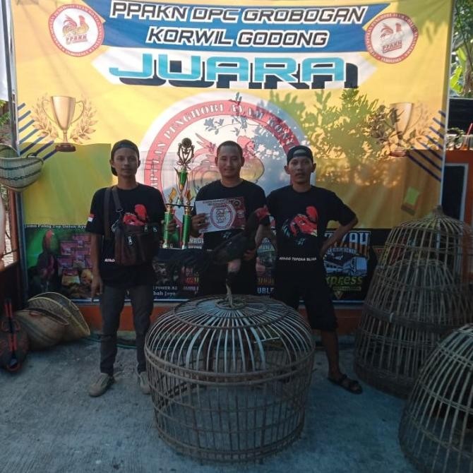 

TELUR AYAM PAKOY VERTIL BLACBULL X SUPERCOCK