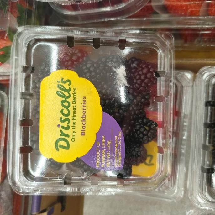 

Promo Buah Blackberry Driscolls Usa