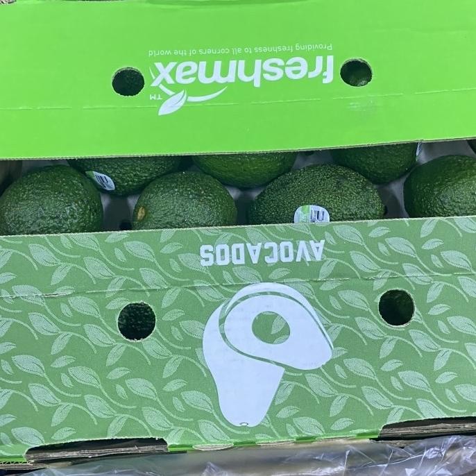 

Grosir Alpukat Hass Import New Zealand / Avocado Import / Dus